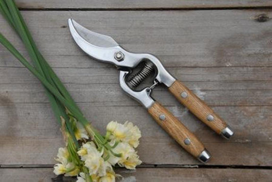 Secateurs - Ash Handle